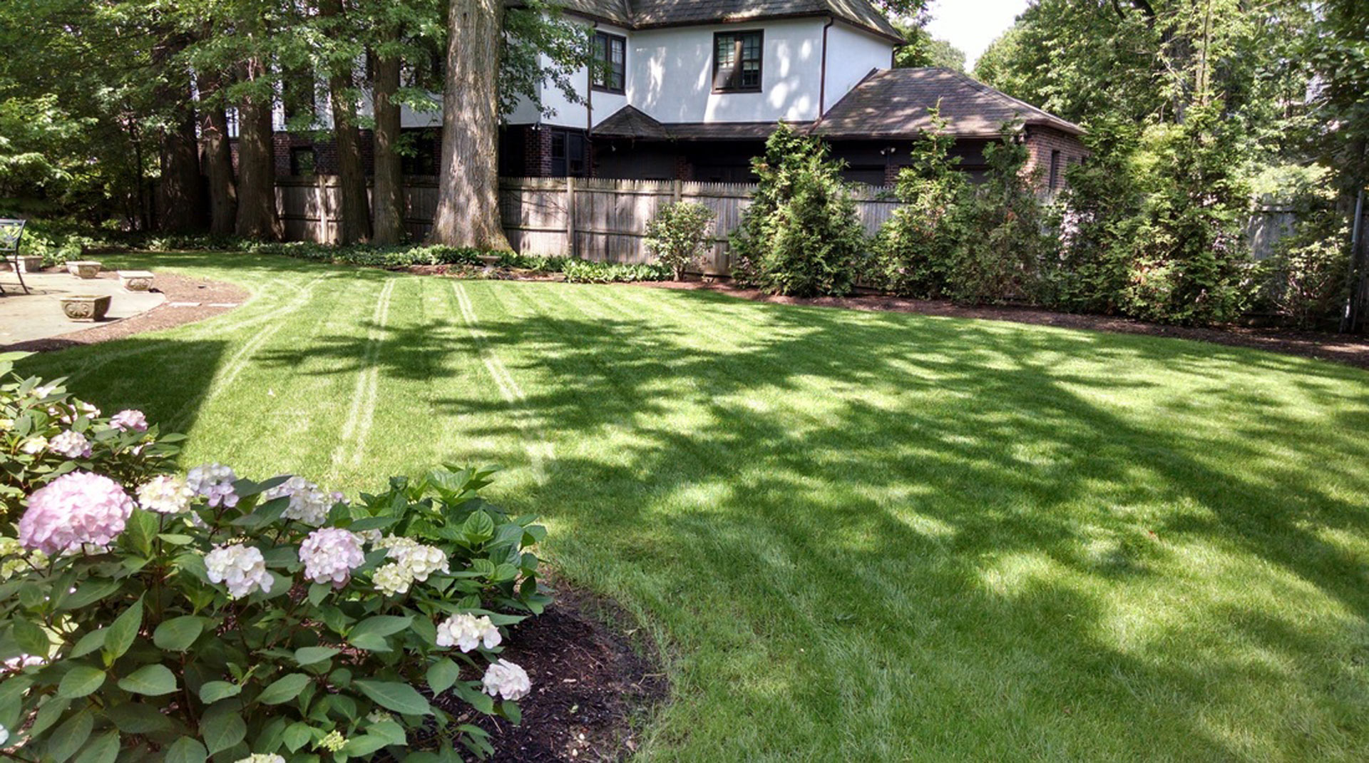 mowed lawn
